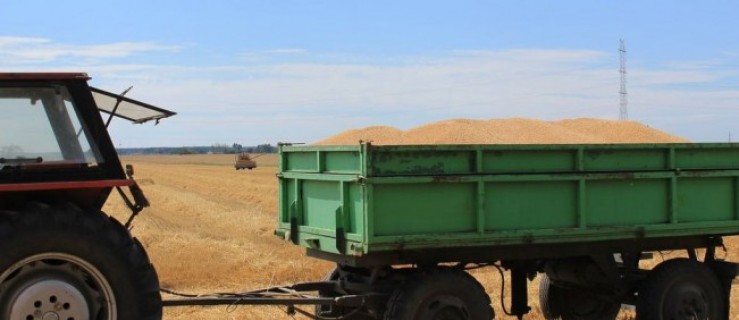 Pleszew. Jak przebiegają żniwa? Służby sprawdzały bezpieczeństwo na polach - Zdjęcie główne