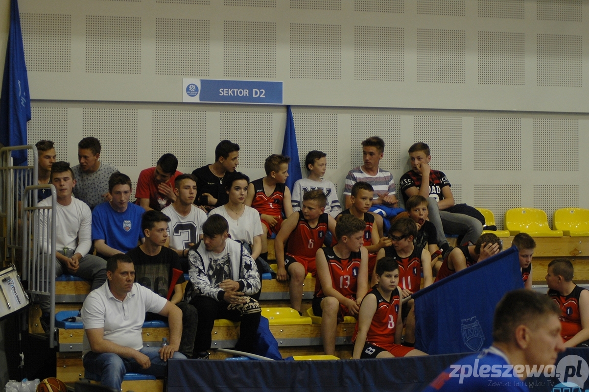 Kosz Pleszew - Ochota Warszawa - Zdjęcie główne