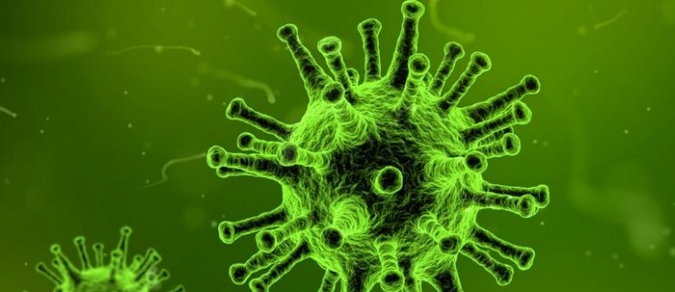 Koronawirus. Odwoływane  są kolejne imprezy w powiecie! - Zdjęcie główne