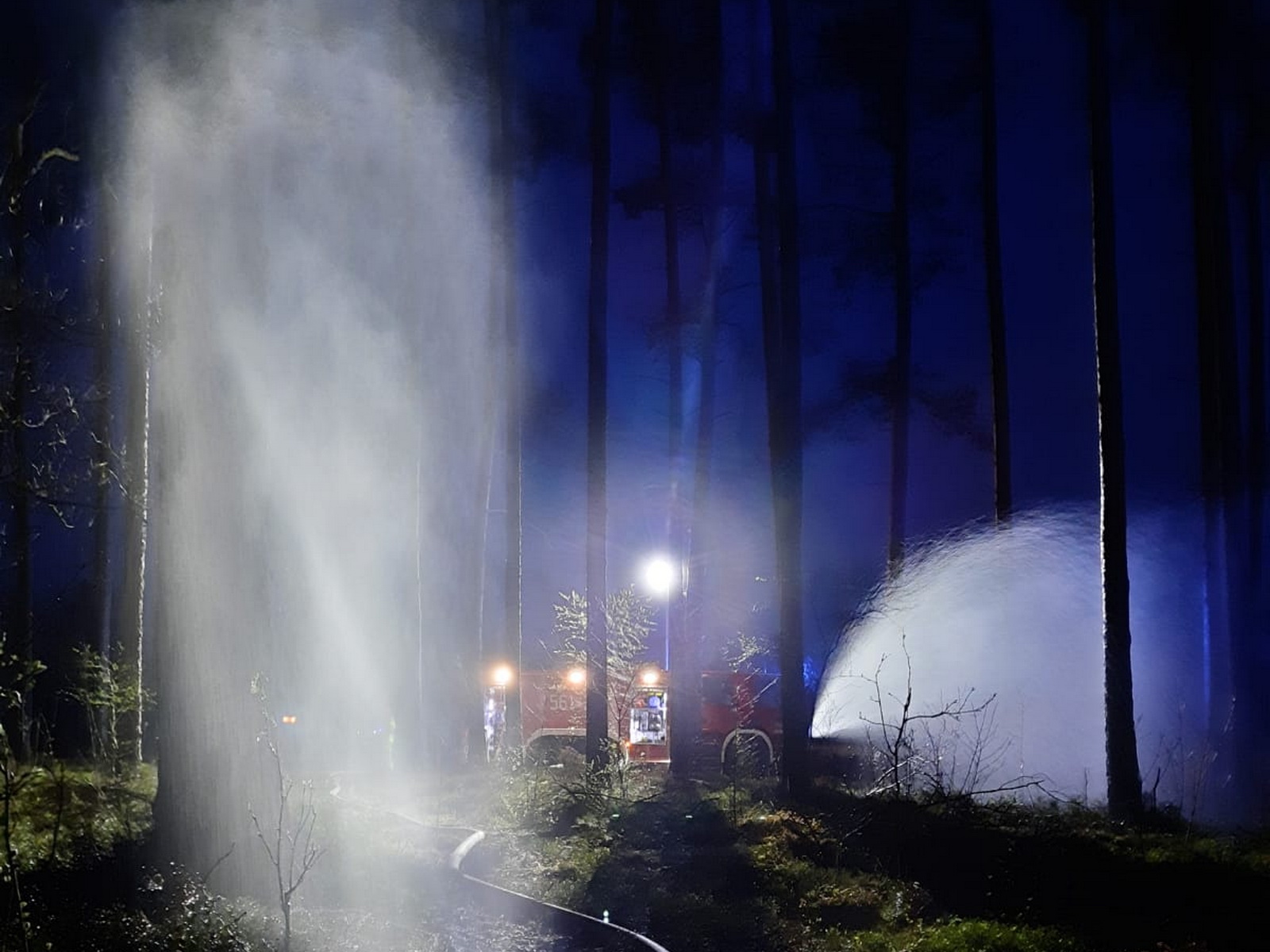 21 kwietnia doszło do pożaru lasu w miejscowości Grab w powiecie pleszewskim