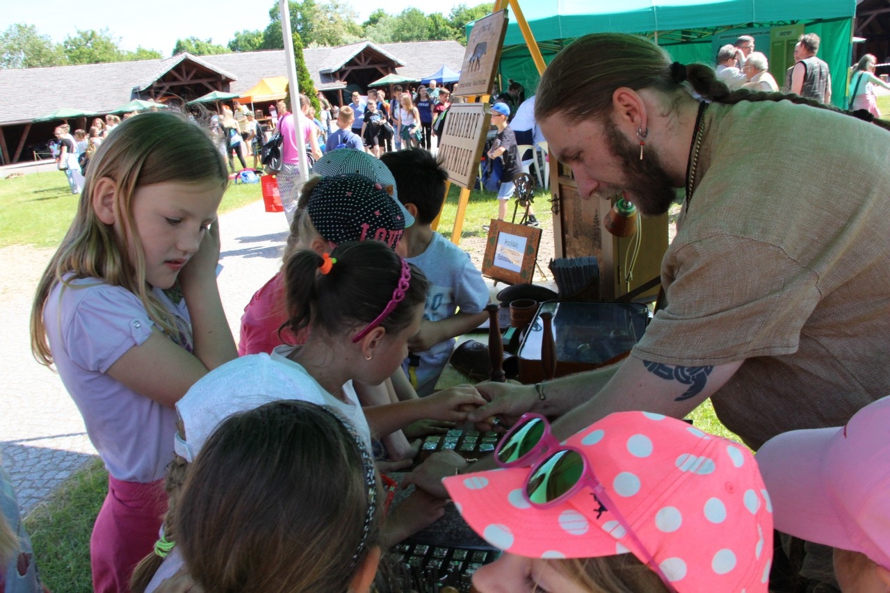 Spotkanie z lasem  - Zdjęcie główne