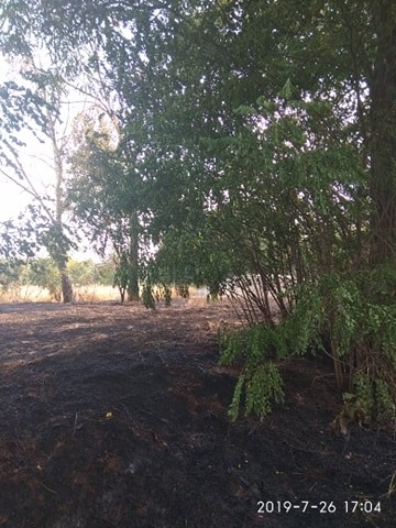 Pożar ścierniska Dobra Nadzieja - Zdjęcie główne