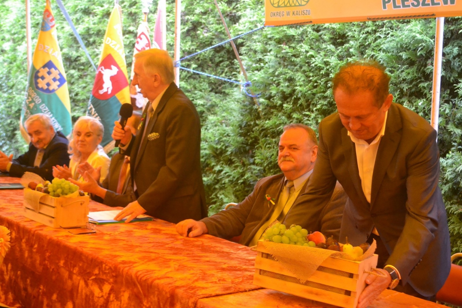 Okręgowe Dni Działkowca 2017 w Pleszewie - Zdjęcie główne