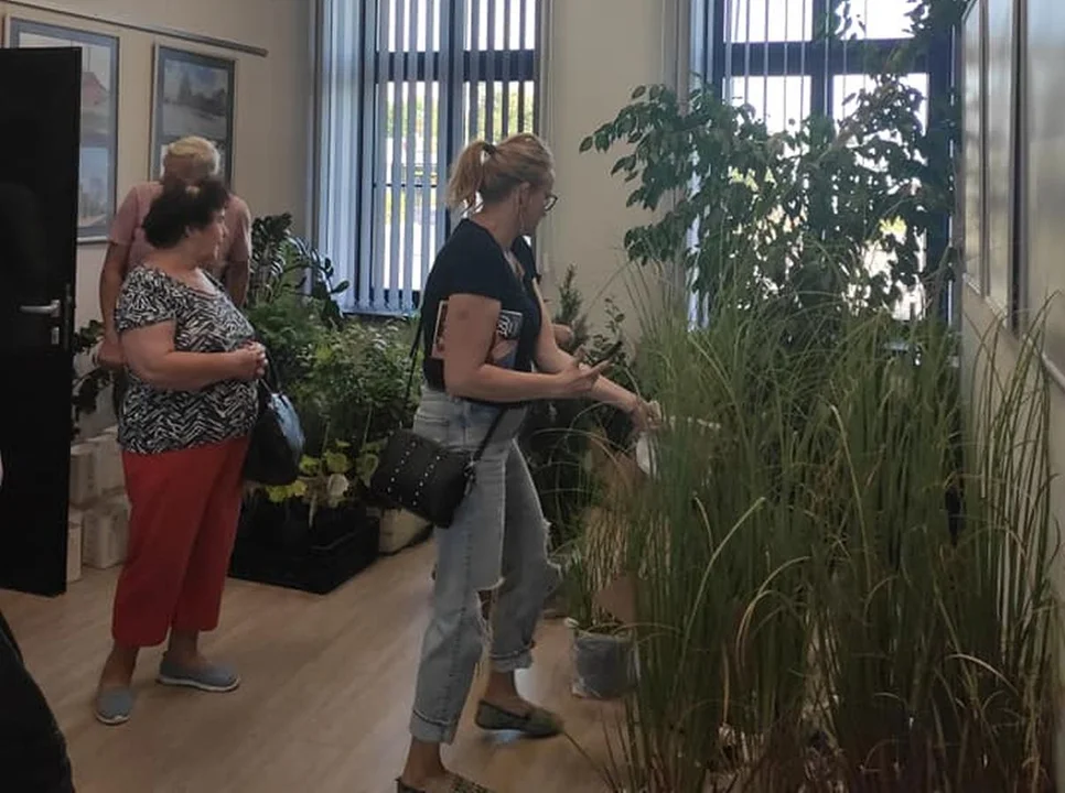 Biblioteka w Pleszewie będzie rozdawać sadzonki drzewek za wypożyczanie książek! - Zdjęcie główne