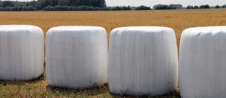 Jesteś rolnikiem w gminie Pleszew? Wkrótce może do Ciebie zadzwonić urzędnik - Zdjęcie główne