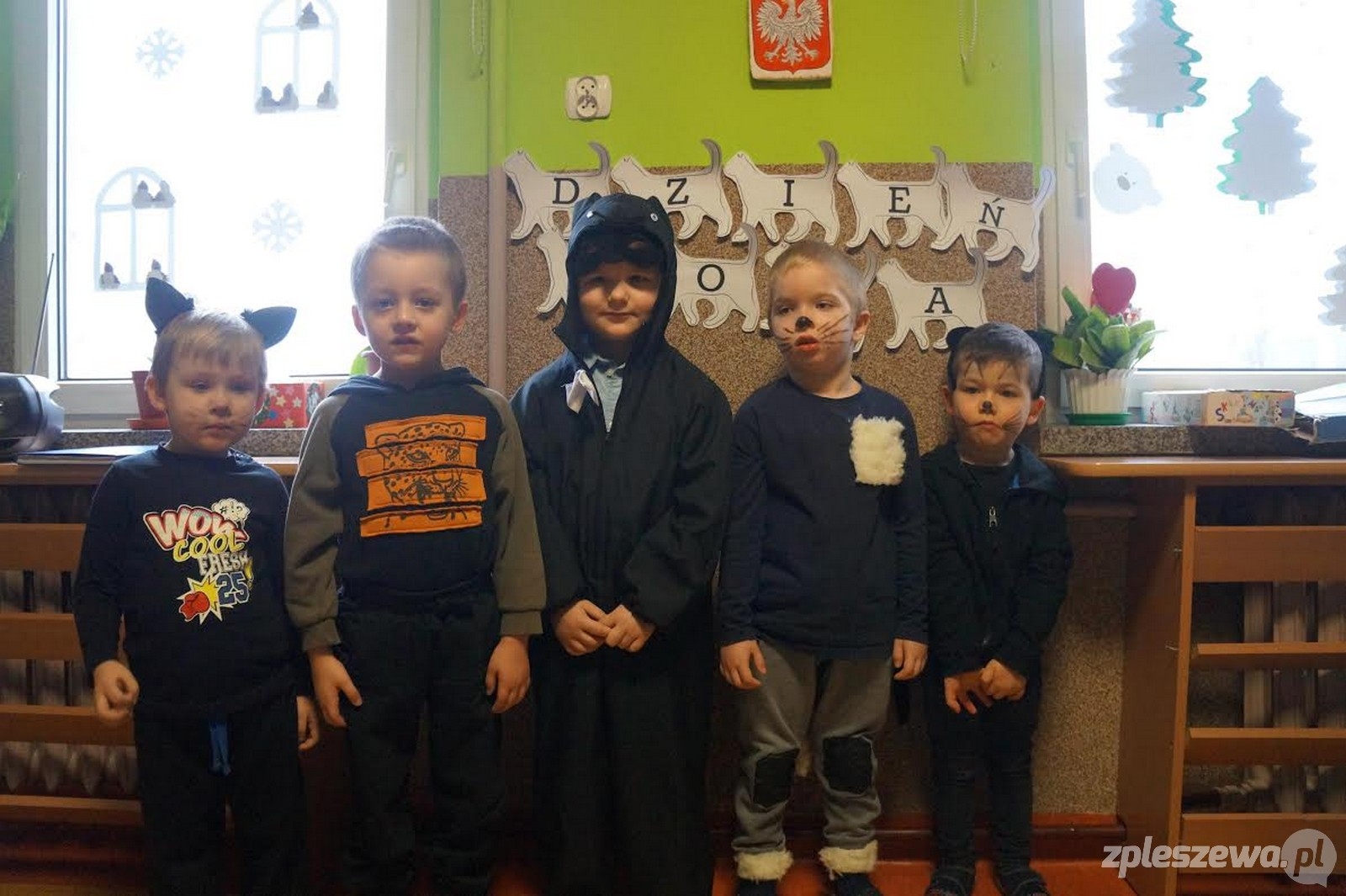 Dzień Kota w Ochronce  - Zdjęcie główne