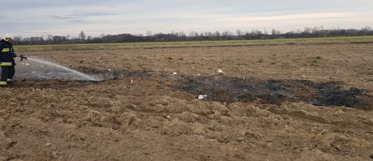Wiał bardzo silny wiatr. Było spore zadymienie - Zdjęcie główne