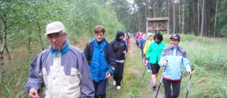 Krótki kurs Nordic Walking [VIDEO] - Zdjęcie główne