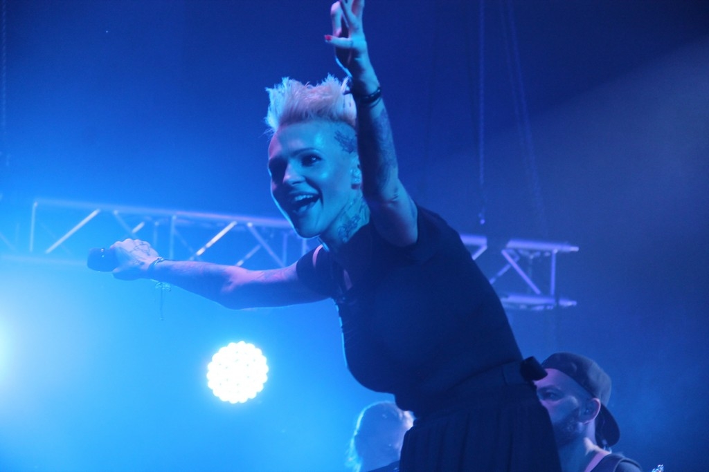 Gołuchów. Festyn Gołuchowski 2019 - Zdjęcie główne