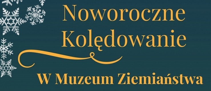 Koncert na Nowy Rok - Zdjęcie główne