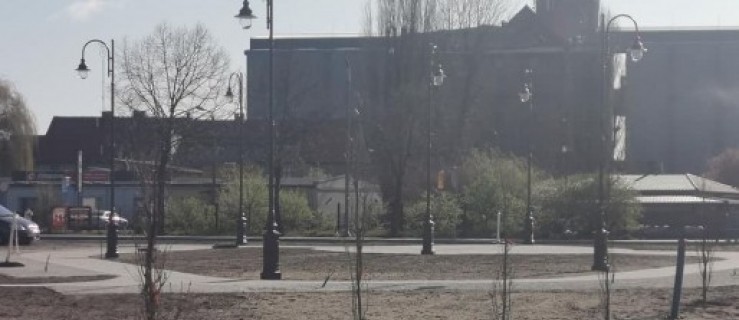 Pleszew. Posadzili lipy i dęby.Będą jeszcze wiśnie i buki. Jak wam się to podoba? - Zdjęcie główne