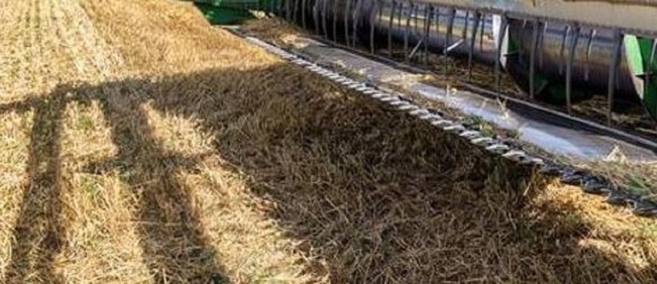 Gmina Dobrzyca. Droga do pól musi poczekać na lepsze czasy? - Zdjęcie główne