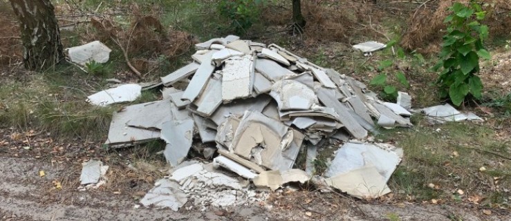 Gmina Czermin. Fotopułapka nagrała wandala! - Zdjęcie główne