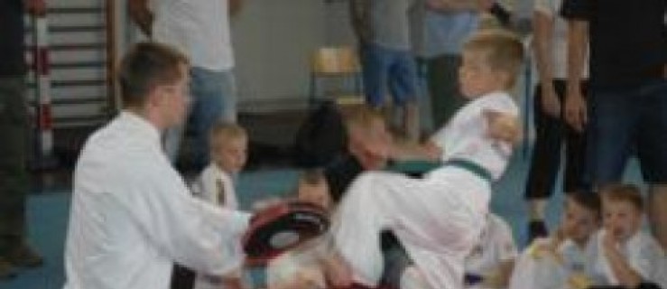 Taekwondo w Pleszewie - Zdjęcie główne