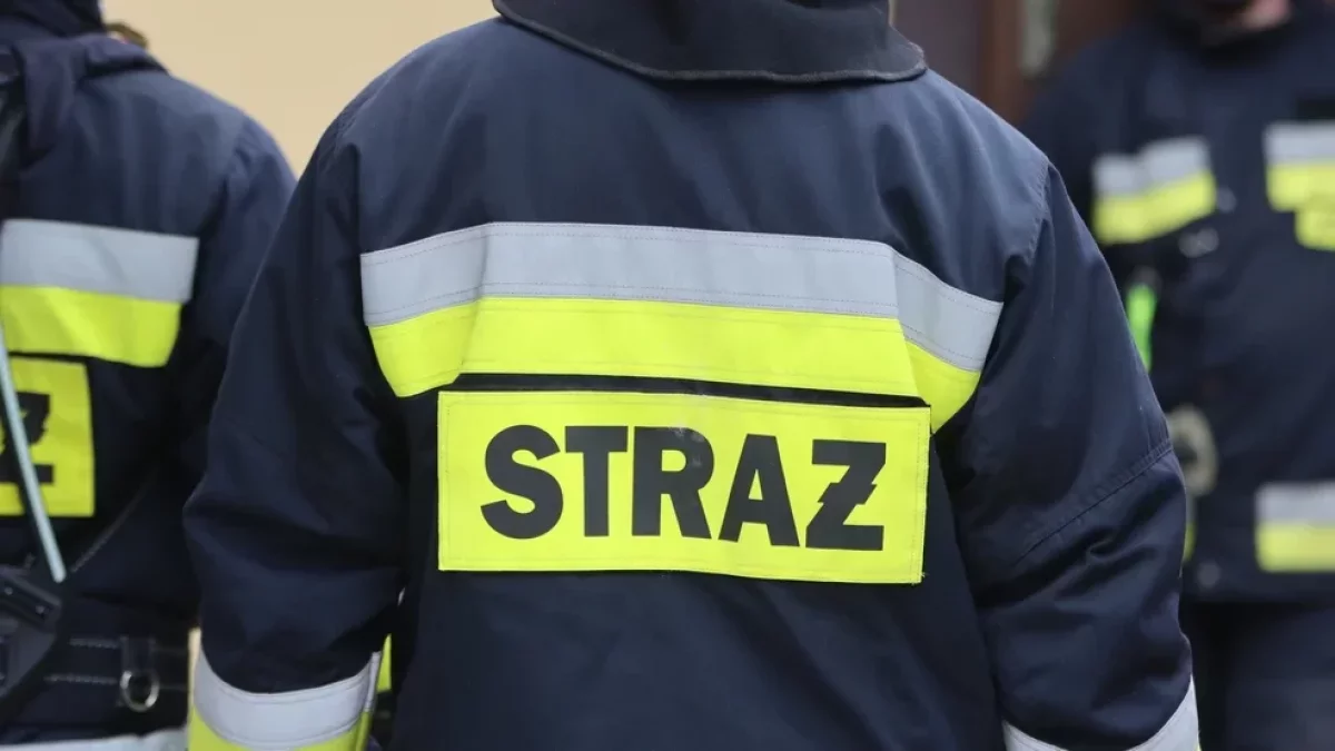 Pożar lasu w gminie Chocz. W akcji 12 zastępów straży i dron