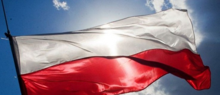 Dziś obchodzimy Narodowy Dzień Zwycięstwa! - Zdjęcie główne