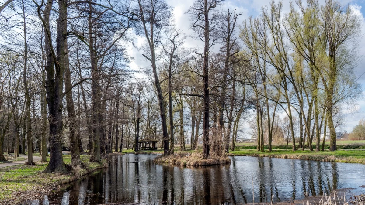 Dzień dobry Pleszew! Dziś poniedziałek, 13 kwietnia 2026 roku
