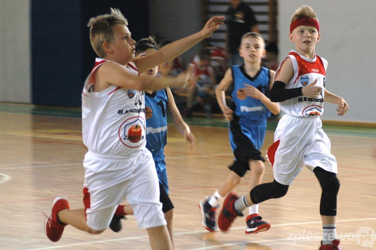 Liga mini kosza Kosz - Rawia - Zdjęcie główne