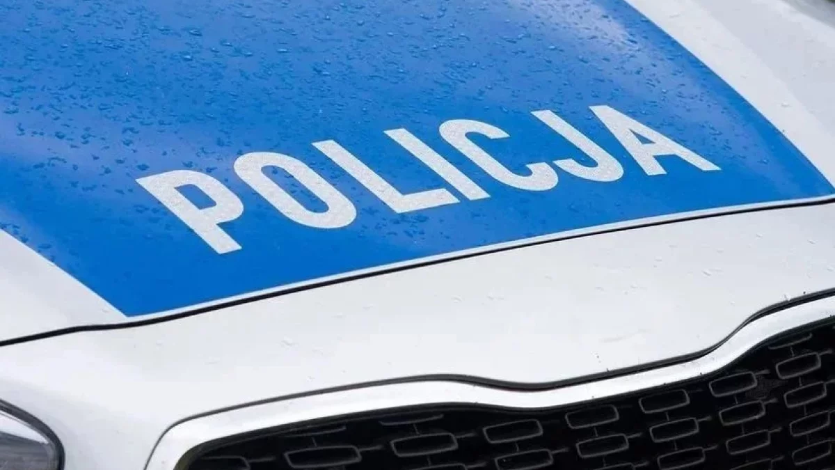 Uderzyła w tył ciężarówki. Służby interweniują na krajowej dwunastce