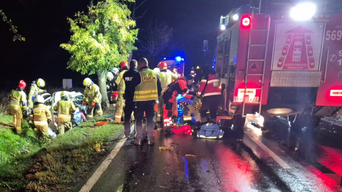 Wypadek śmiertelny na drodze wojewódzkiej nr 442 w gminie Chocz. Nie żyje jedna osoba [ARTYKUŁ AKTUALIZOWANY] - Zdjęcie główne