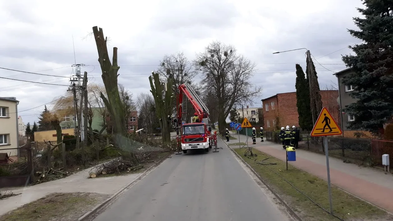 Na ul. Czartoryskich w Gołuchowie konieczna była interwencja strażaków