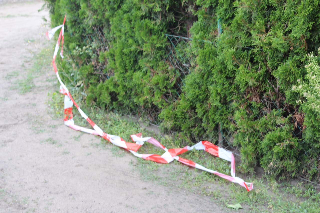 Do zabójstwa doszło na terenie ogrodów działkowych w Pleszewie