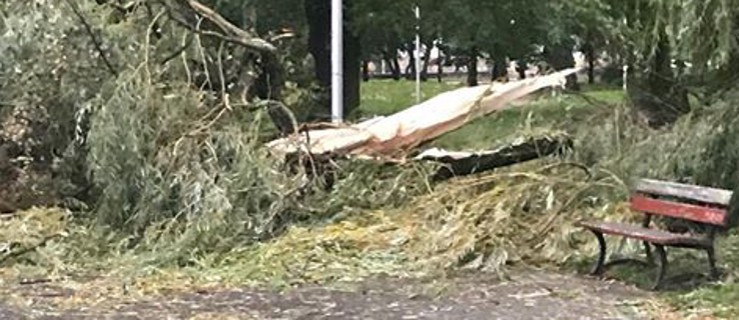 Zniszczenia w parku miejskim i na osiedlu Mieszka I - Zdjęcie główne