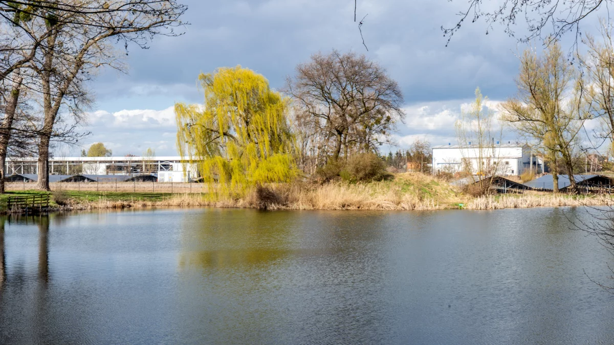 Dzień dobry Pleszew! Dziś środa, 8 kwietnia 2026 roku