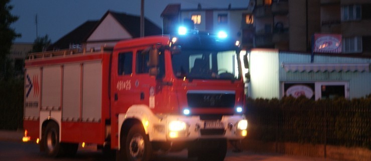 Pożar sadz w Krotoszynie - Zdjęcie główne