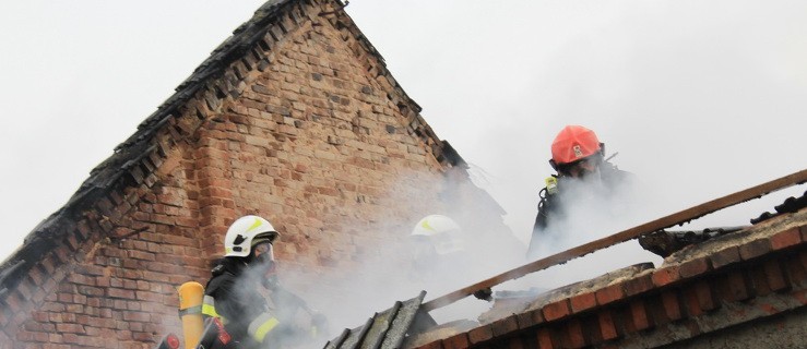 Pożar. Akcję gaśniczą utrudniał silny wiatr - Zdjęcie główne