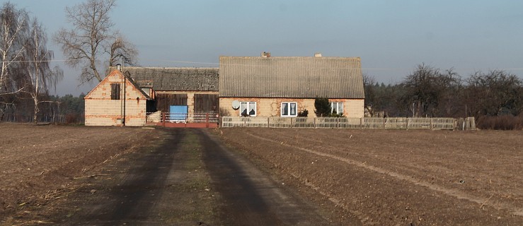 Boją się zemsty - Zdjęcie główne