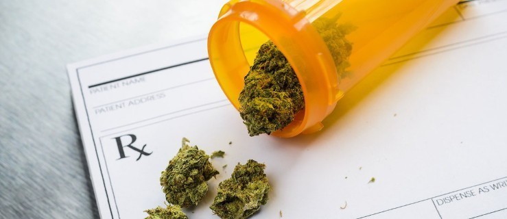 Medyczna marihuana będzie legalna [ANKIETA] - Zdjęcie główne