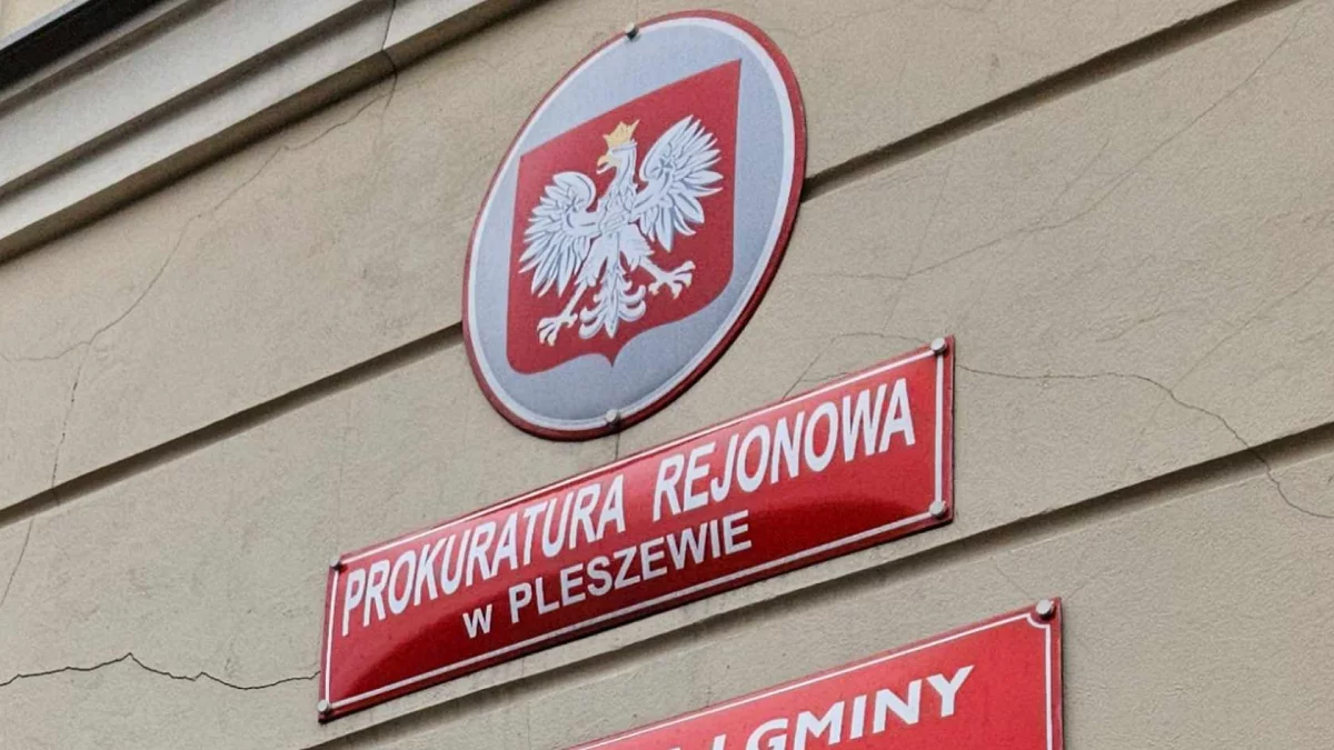 Pijany 32-latek, podczas awantury, miał doprowadzić do śmierci ojca. Według prokuratury znęcał się nad bliskimi przez kilkanaście lat - Zdjęcie główne