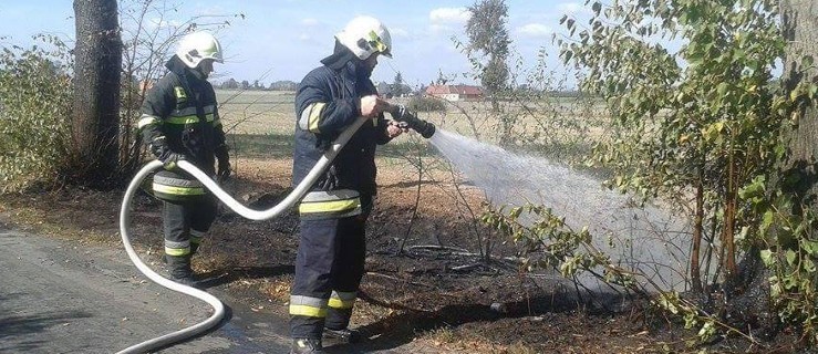 Kolejne pożary traw - Zdjęcie główne