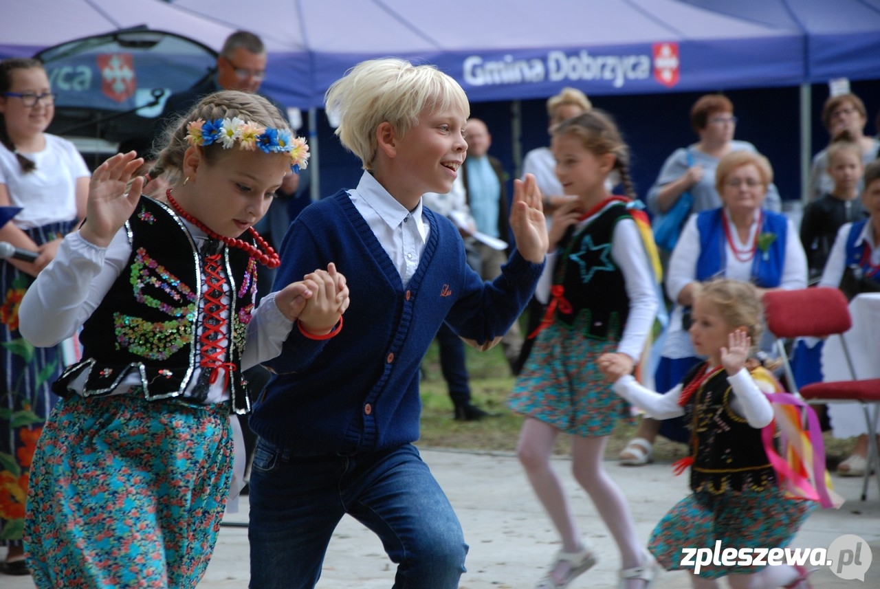 Dożynki w Fabianowie  - Zdjęcie główne