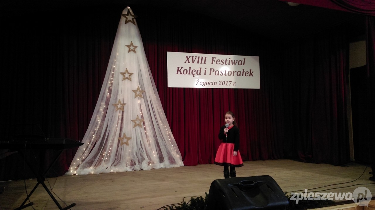 Maciej pojedzie do Brukseli  - Zdjęcie główne