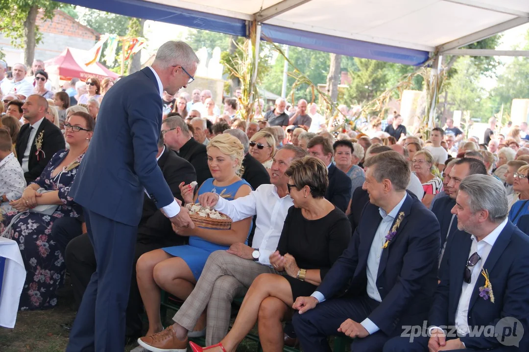 Wiemy, gdzie odbędą się tegoroczne dożynki w Mieście i Gminie Pleszew [ZDJĘCIA] - Zdjęcie główne