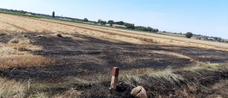 Strażacy z Gołuchowa mieli pełne ręce roboty. Walczyli z pożarem, ale to nie wszystko … - Zdjęcie główne