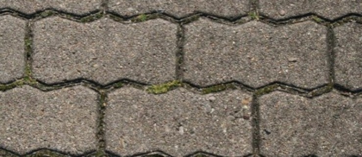 Gmina Czermin. Pozarastane chodniki to problem. Jedna z wsi świeci jednak przykładem - Zdjęcie główne