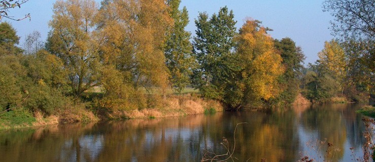 Gizałki – naprawią wały - Zdjęcie główne