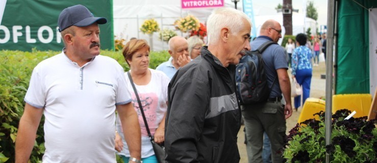 Gołuchów. W tym roku nie będzie Dni Ogrodnika - Zdjęcie główne