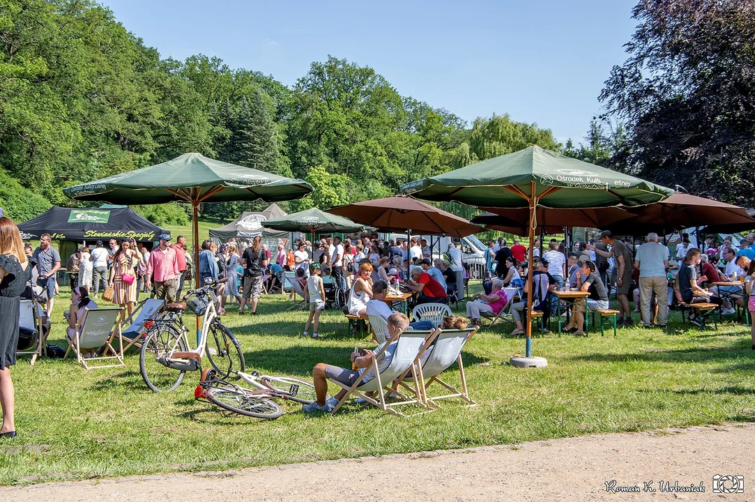 Tak było podczas Festiwalu Lasu w Gołuchowie [ZDJĘCIA] - Zdjęcie główne