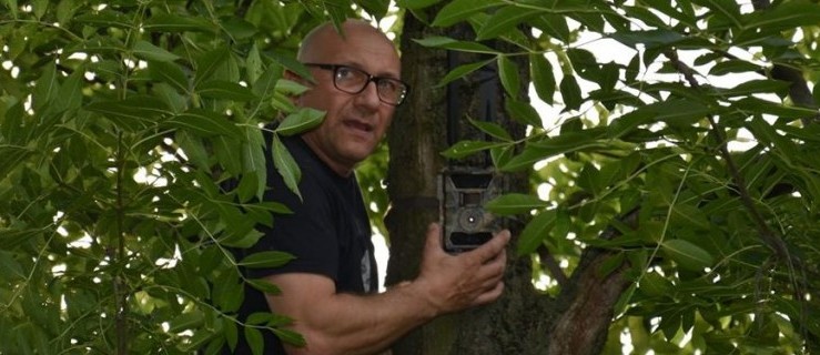 Powiat pleszewski. Mają "oko" na wandali! Fotopułapki już zainstalowane - Zdjęcie główne