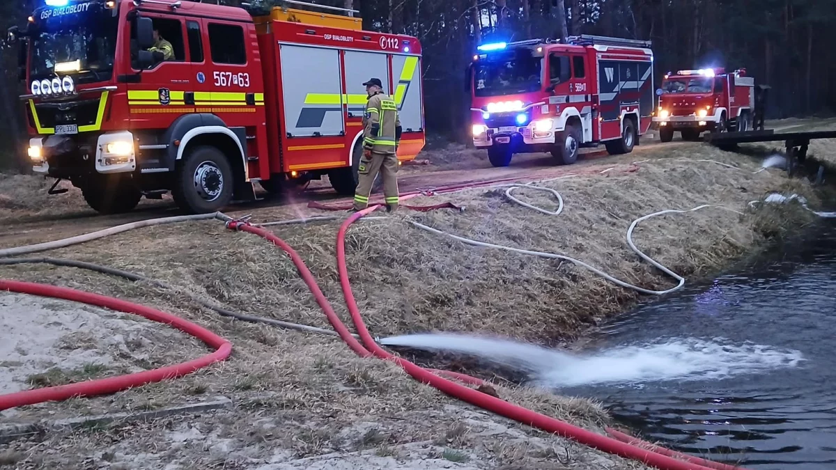 Spłonęły blisko 2 hektary lasu i upraw. Leśnicy apelują o szczególną ostrożność