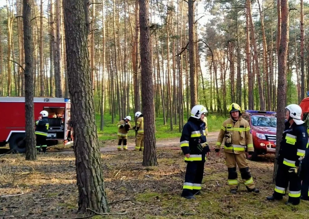Pożar lasu w Józefowie 