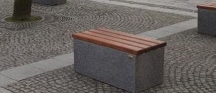 Pleszew. Radna prosi o ławeczki dla seniorów - Zdjęcie główne