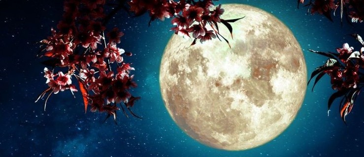 Dziś Pełnia Kwiatowego Księżyca. To będzie ostatni Superksiężyc w 2020 roku! - Zdjęcie główne