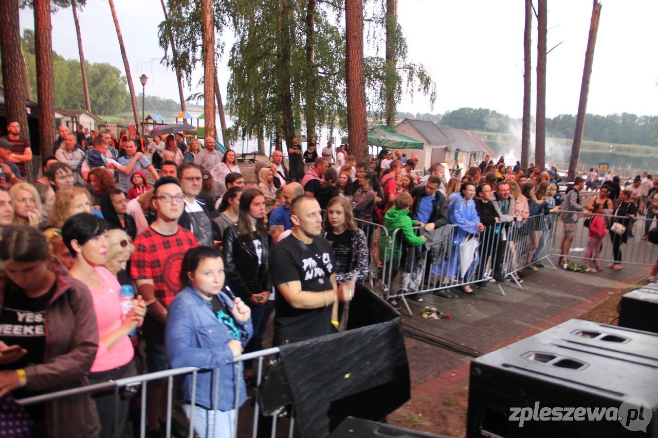 Festyn w Gołuchowie 2019 - Zdjęcie główne