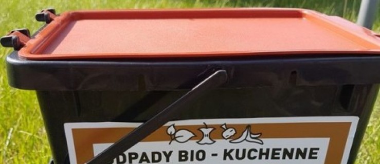 Pleszew. Pilotażowy program segregacji. 30 rodzin uczestniczy w eksperymencie!  - Zdjęcie główne