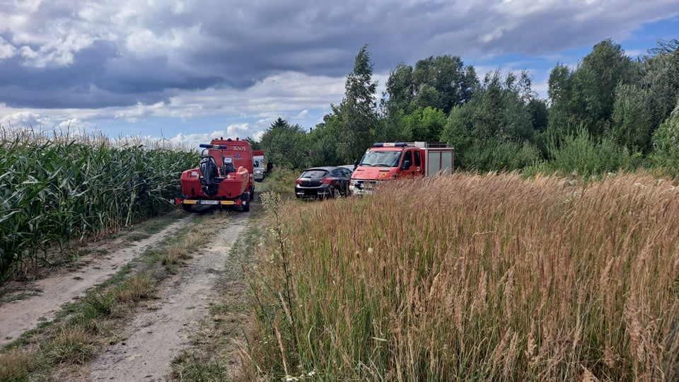 Morderstwo w Pleszewie. Śledczy szukają narzędzia zbrodni. Trwa akcja - Zdjęcie główne